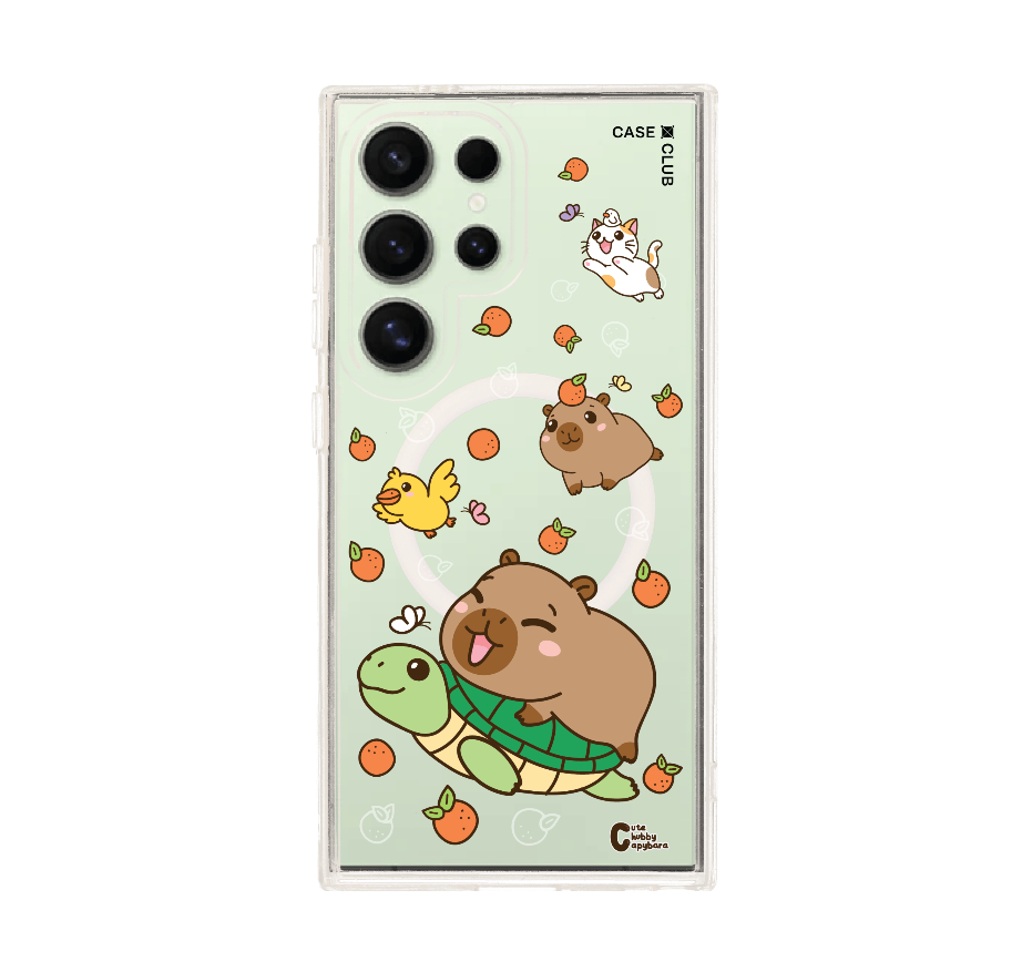 cute chubby capybara รวมสัตว์