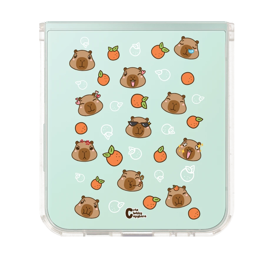 cute chubby capybara ส้มซ่า