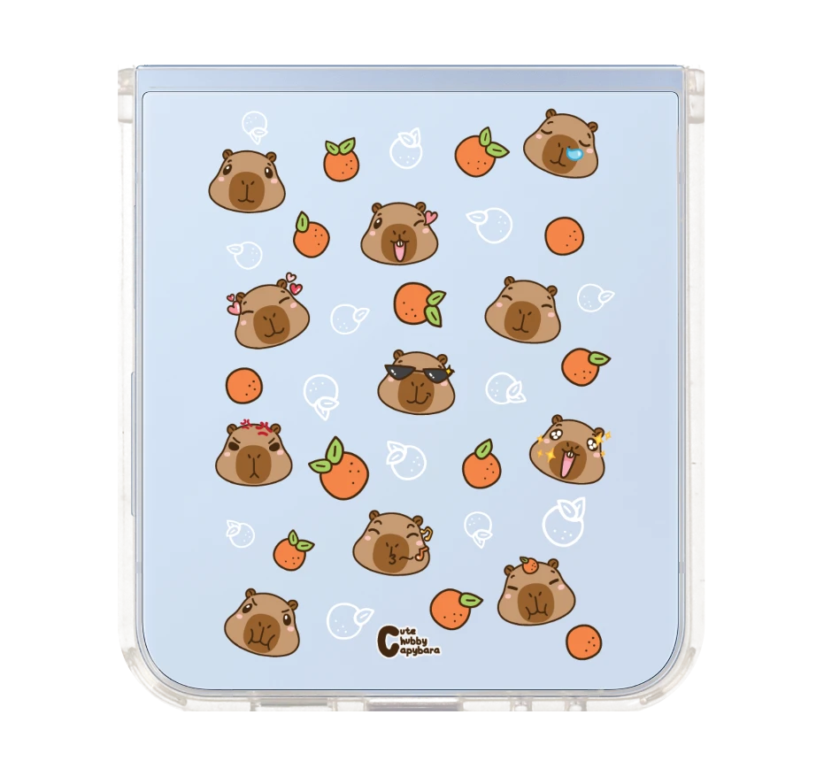 cute chubby capybara ส้มซ่า