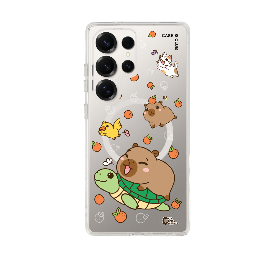 cute chubby capybara รวมสัตว์
