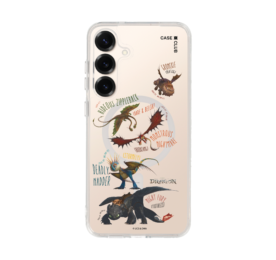 httyd dragon team