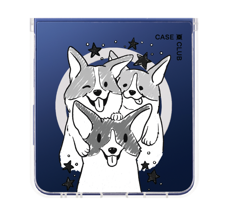 corgi trio