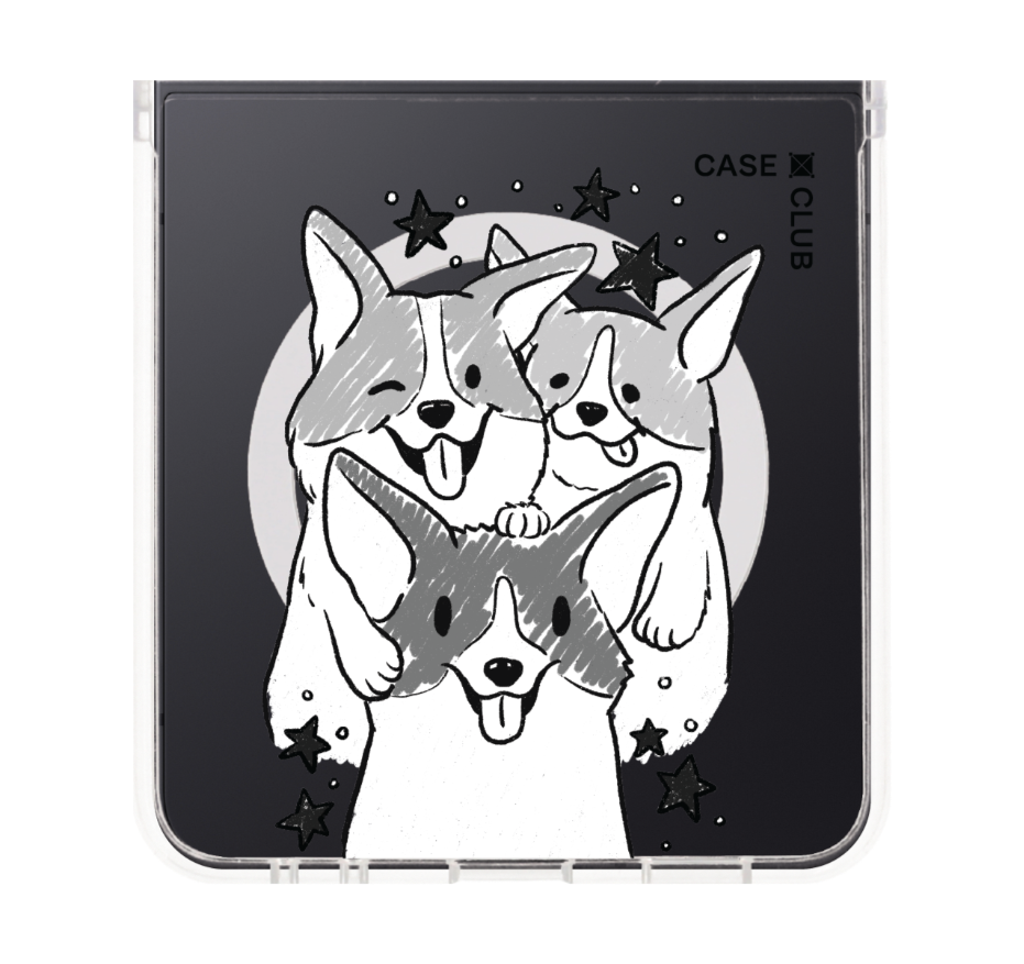 corgi trio