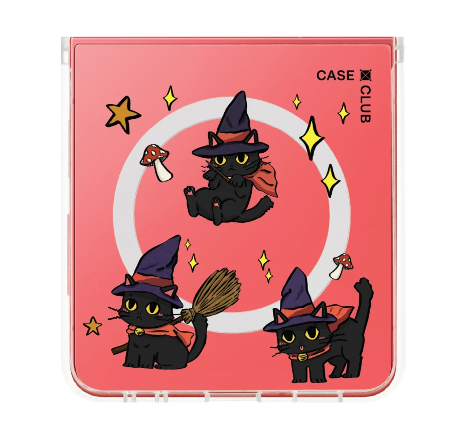witch cat