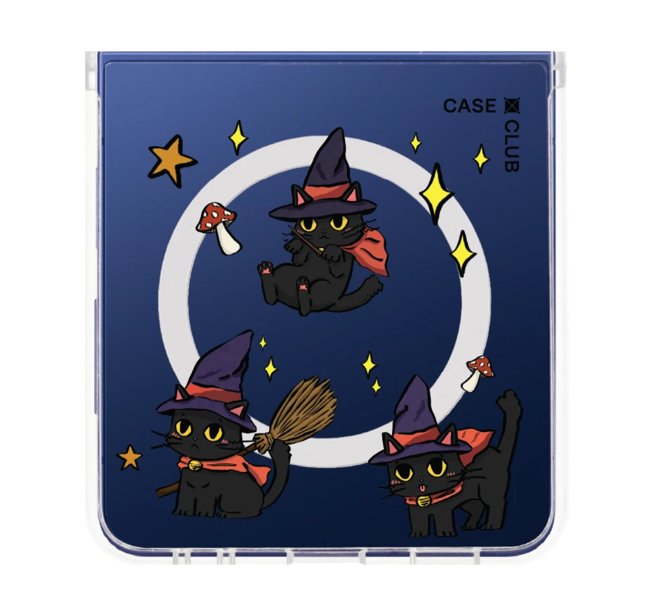 witch cat