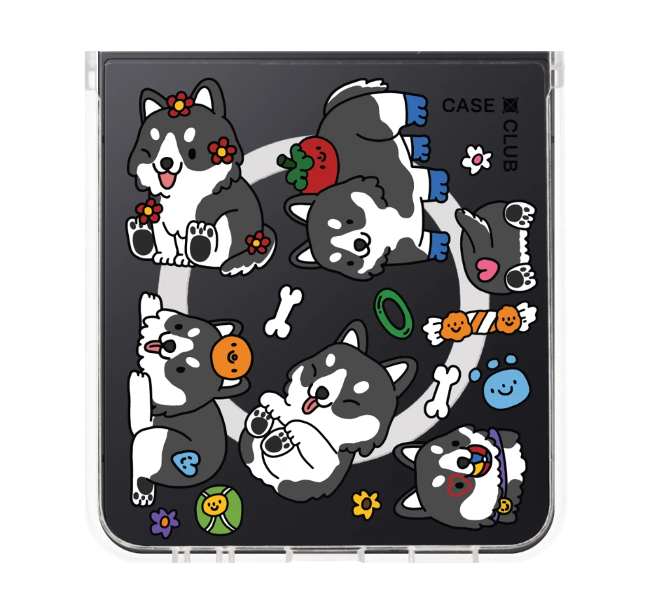 น้องฮัสกี้จอมป่วนตัวจิ๋ว