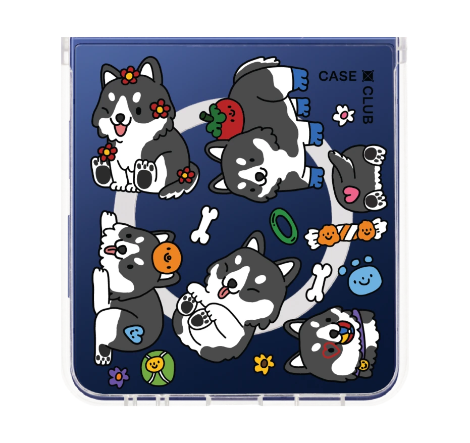 น้องฮัสกี้จอมป่วนตัวจิ๋ว