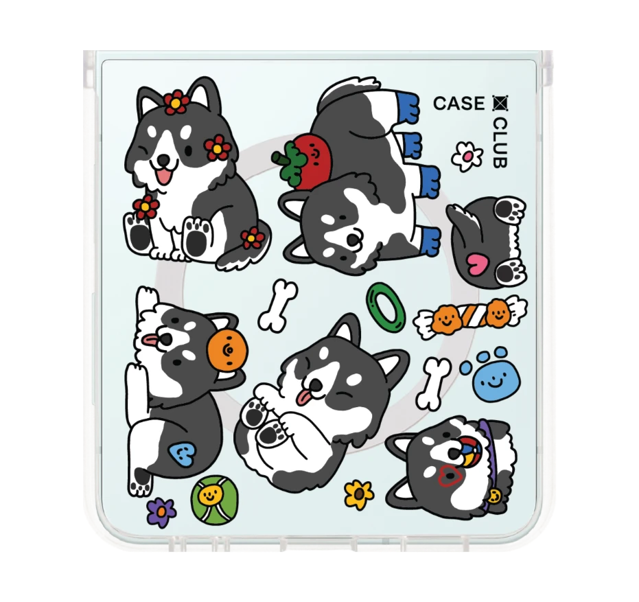 น้องฮัสกี้จอมป่วนตัวจิ๋ว