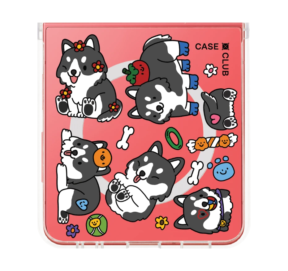 น้องฮัสกี้จอมป่วนตัวจิ๋ว