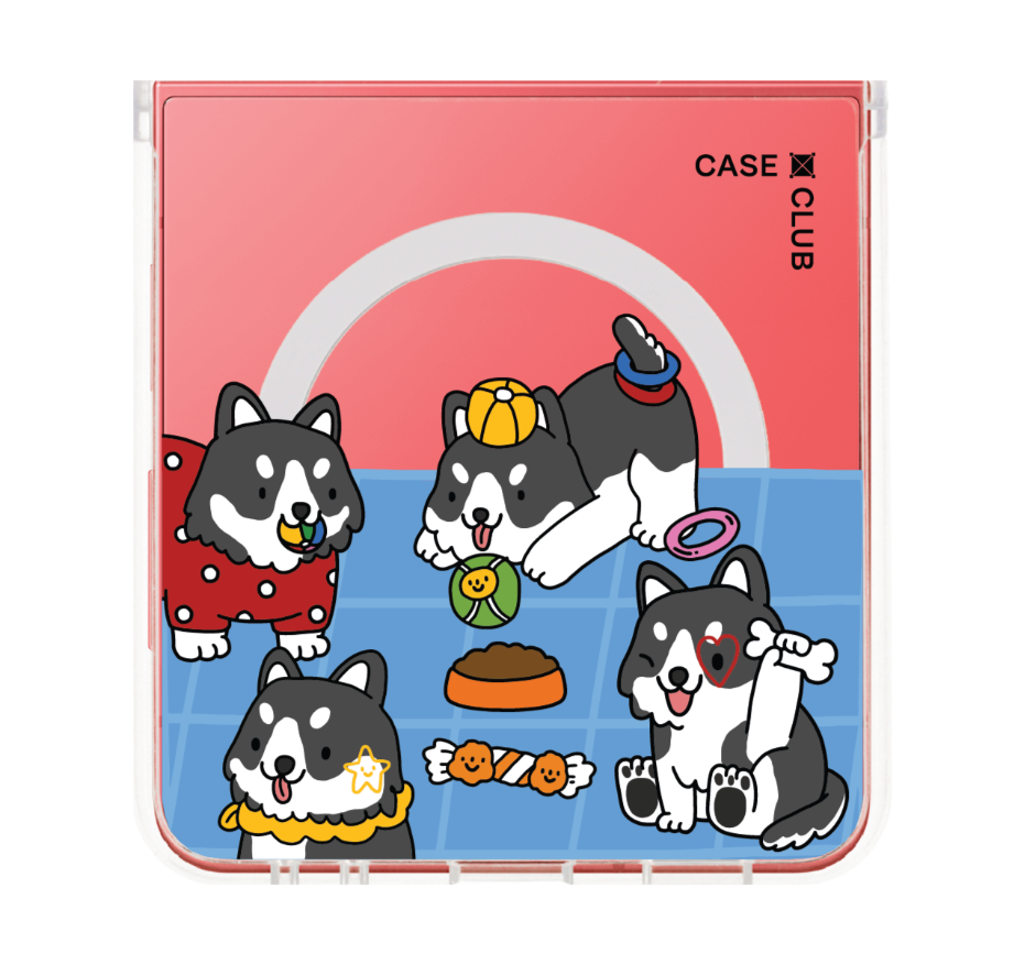 husky play time