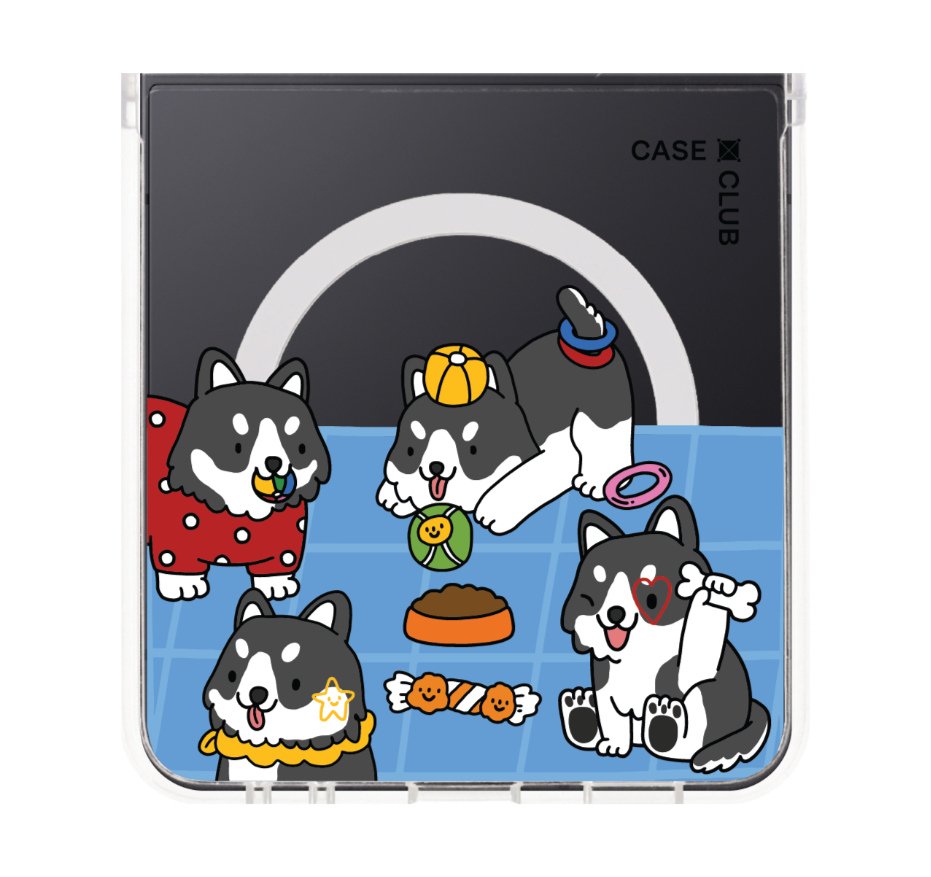 husky play time