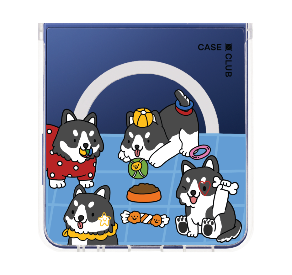 husky play time