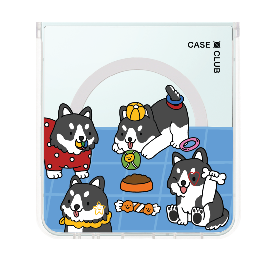husky play time
