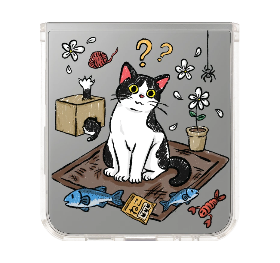 แมวเหมียว 2 สี