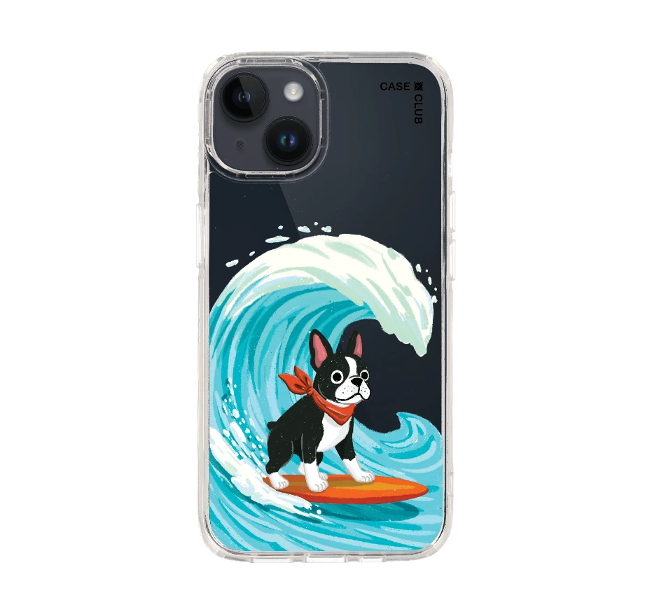 boston terrier surf