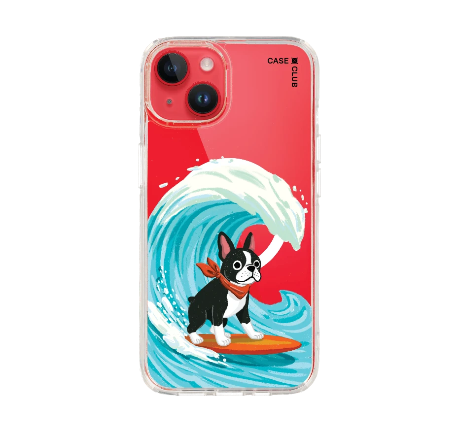 boston terrier surf