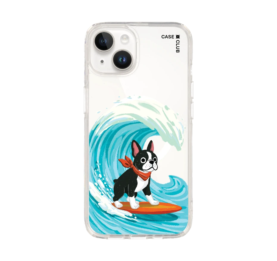 boston terrier surf