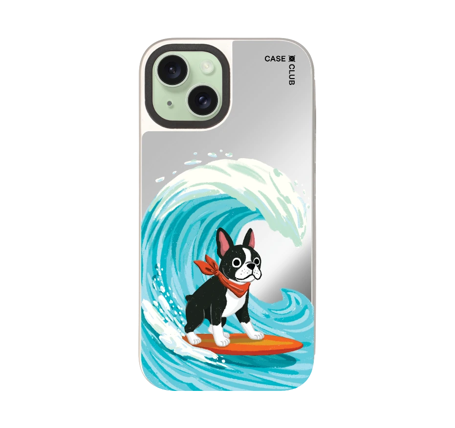 บอสตันเทอร์เรียร์โต้คลื่น