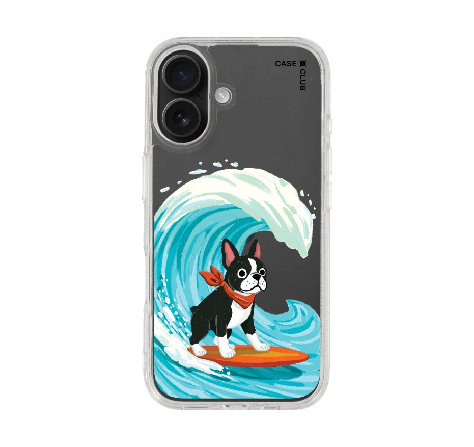 boston terrier surf