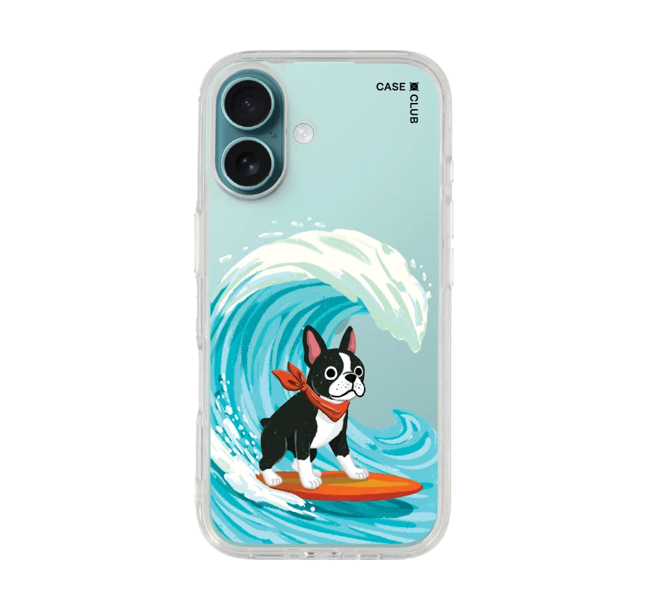 boston terrier surf