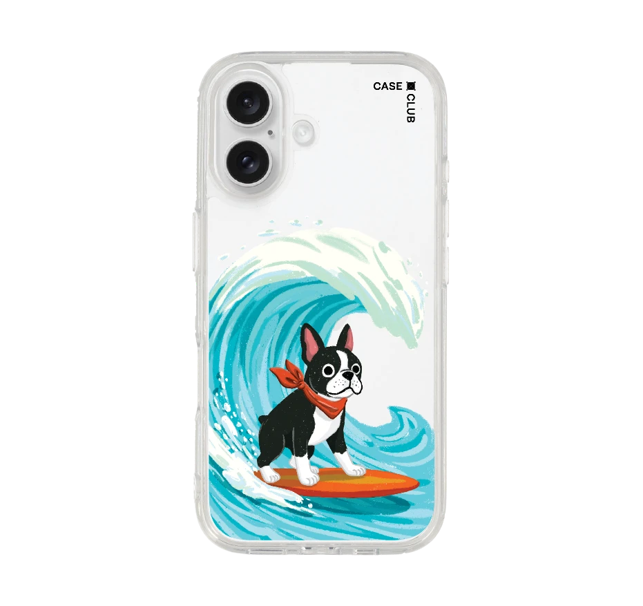 boston terrier surf