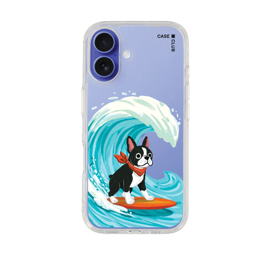boston terrier surf