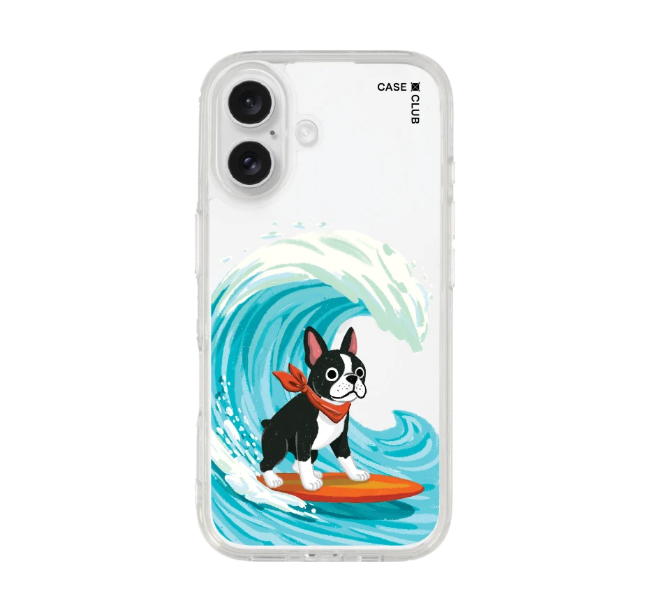 boston terrier surf
