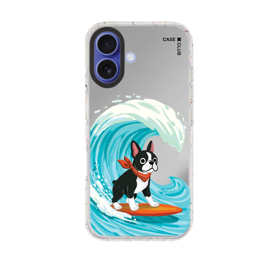 บอสตันเทอร์เรียร์โต้คลื่น