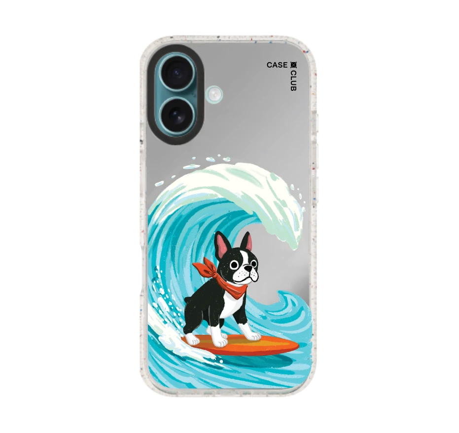 บอสตันเทอร์เรียร์โต้คลื่น