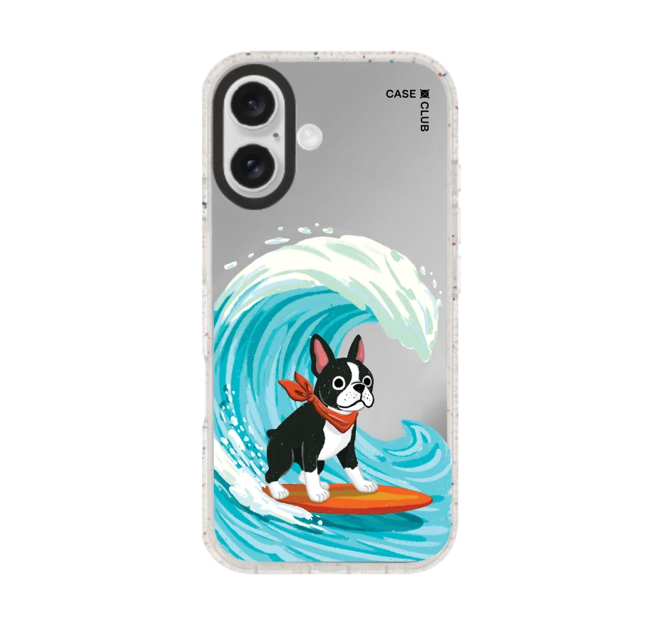 บอสตันเทอร์เรียร์โต้คลื่น