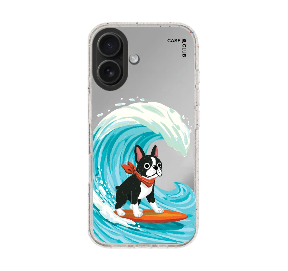 บอสตันเทอร์เรียร์โต้คลื่น