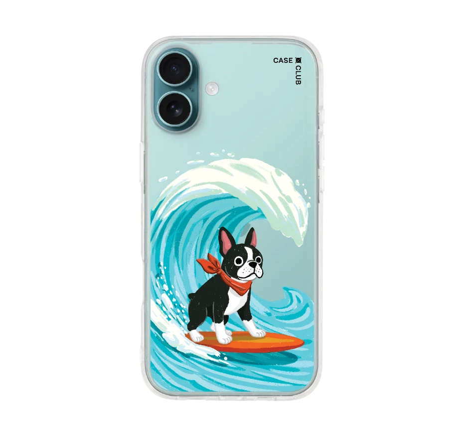 boston terrier surf