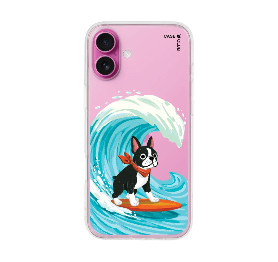 boston terrier surf