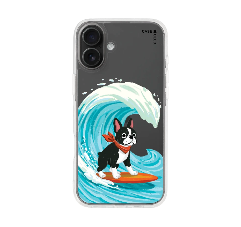 boston terrier surf
