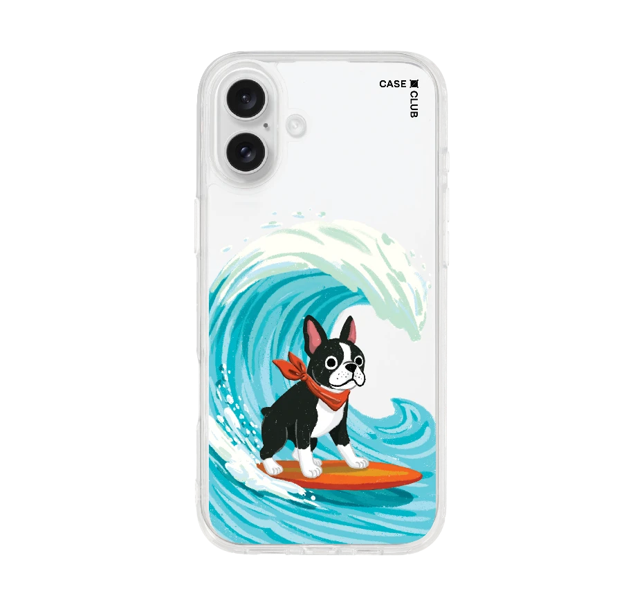boston terrier surf