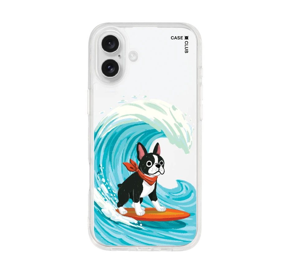 boston terrier surf