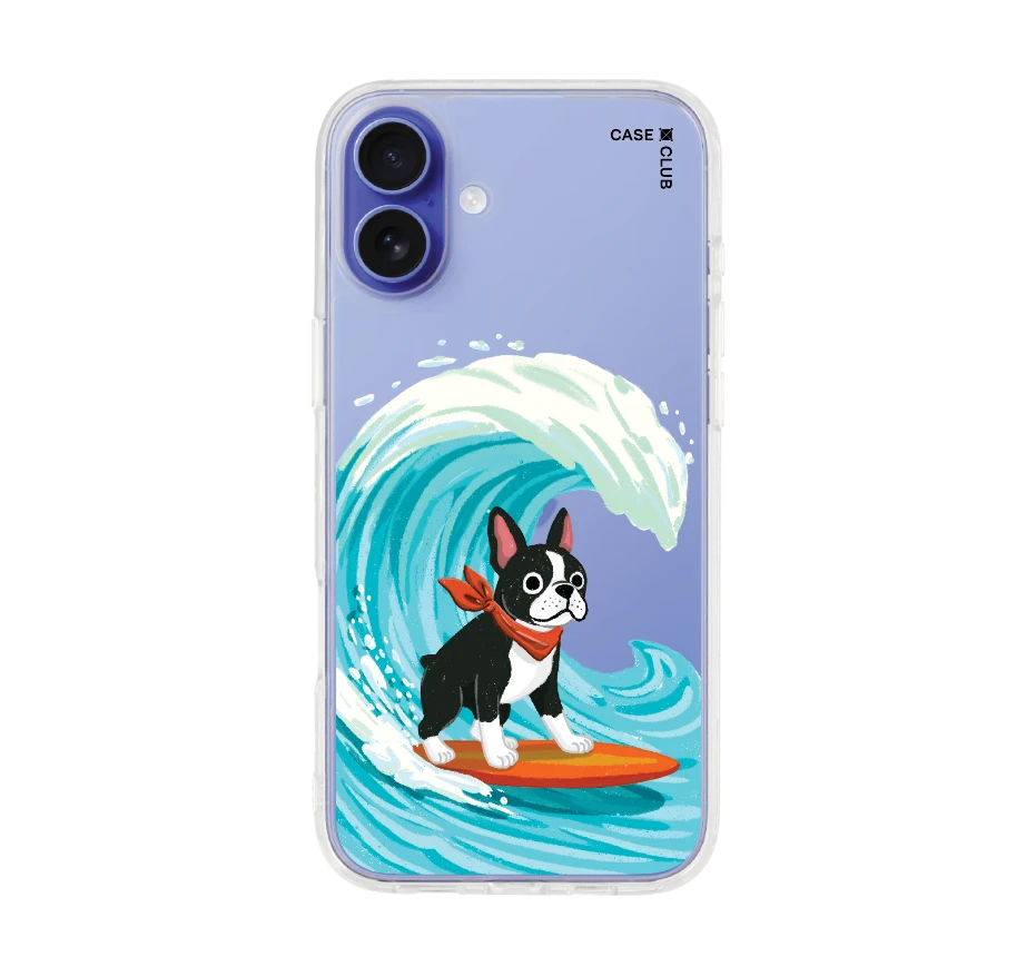 boston terrier surf