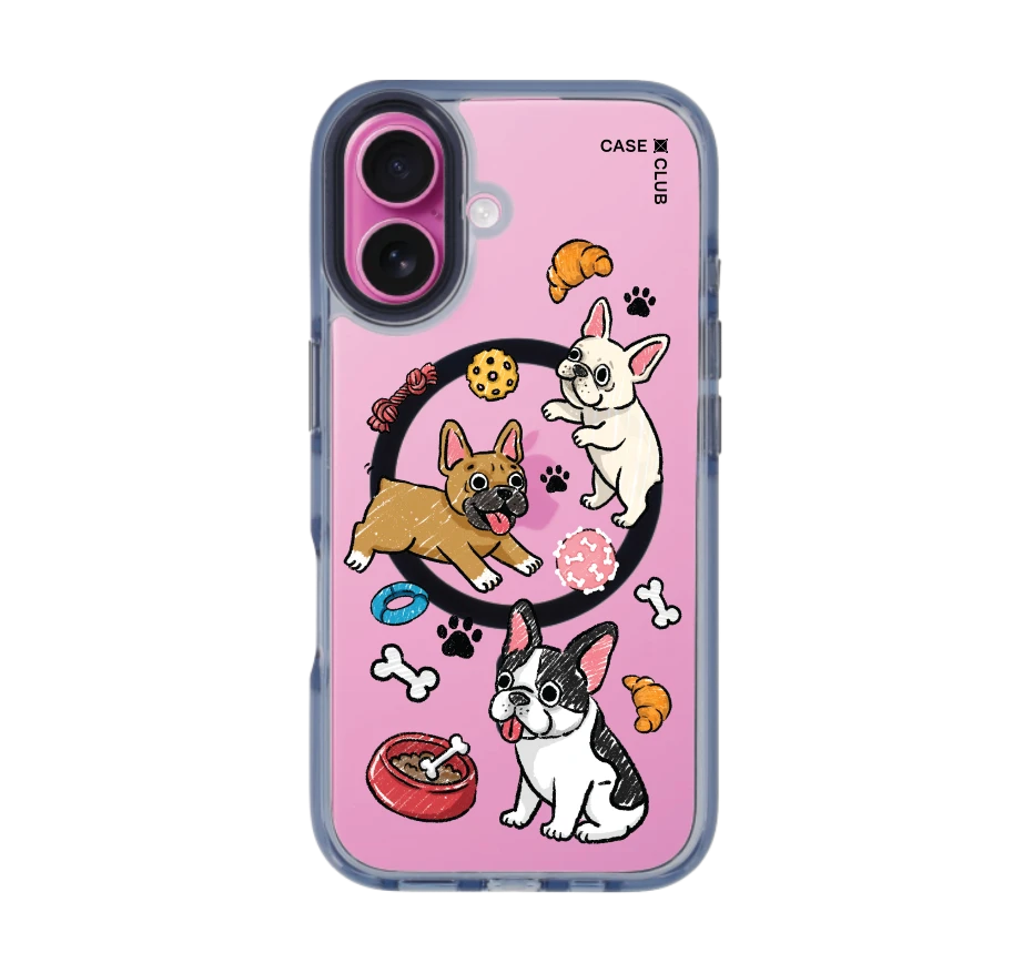 french bull dog play time