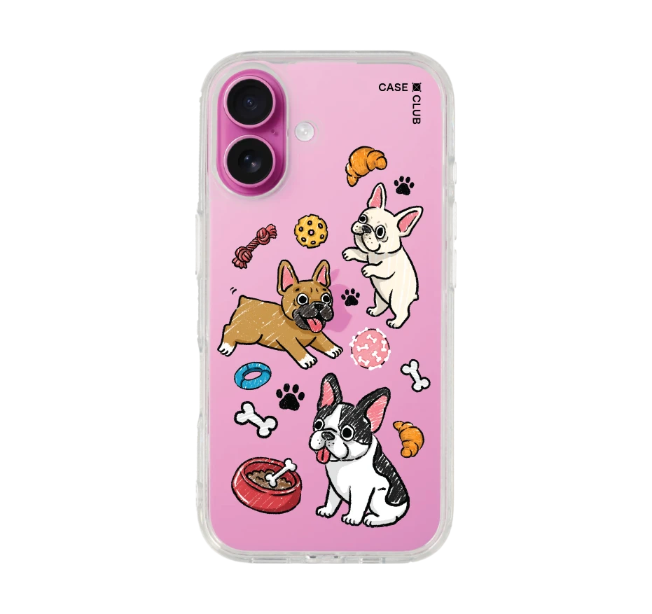 french bull dog play time