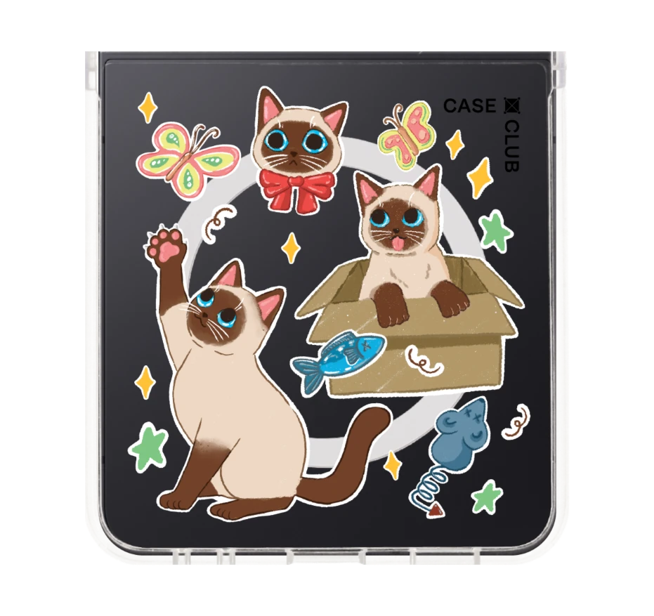 3 แมวป่วน