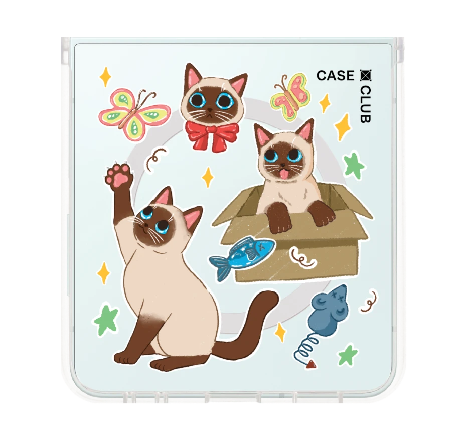 3 แมวป่วน