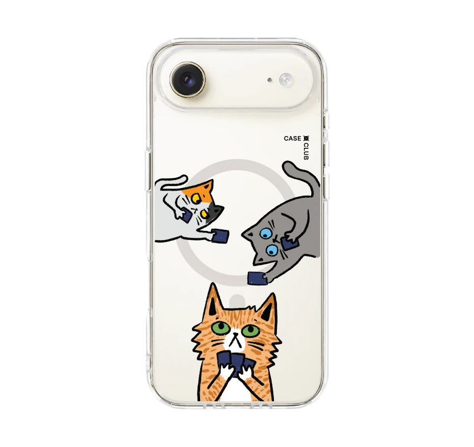 cats & cards