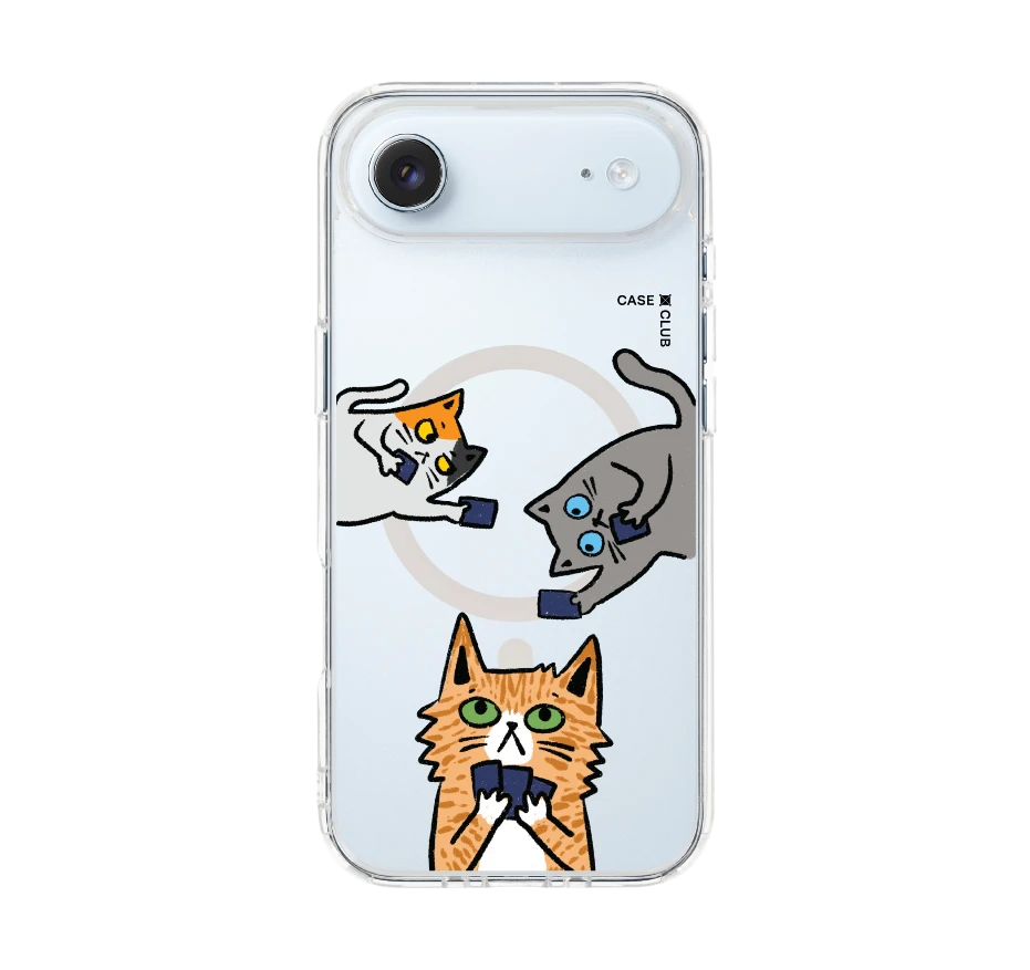 cats & cards