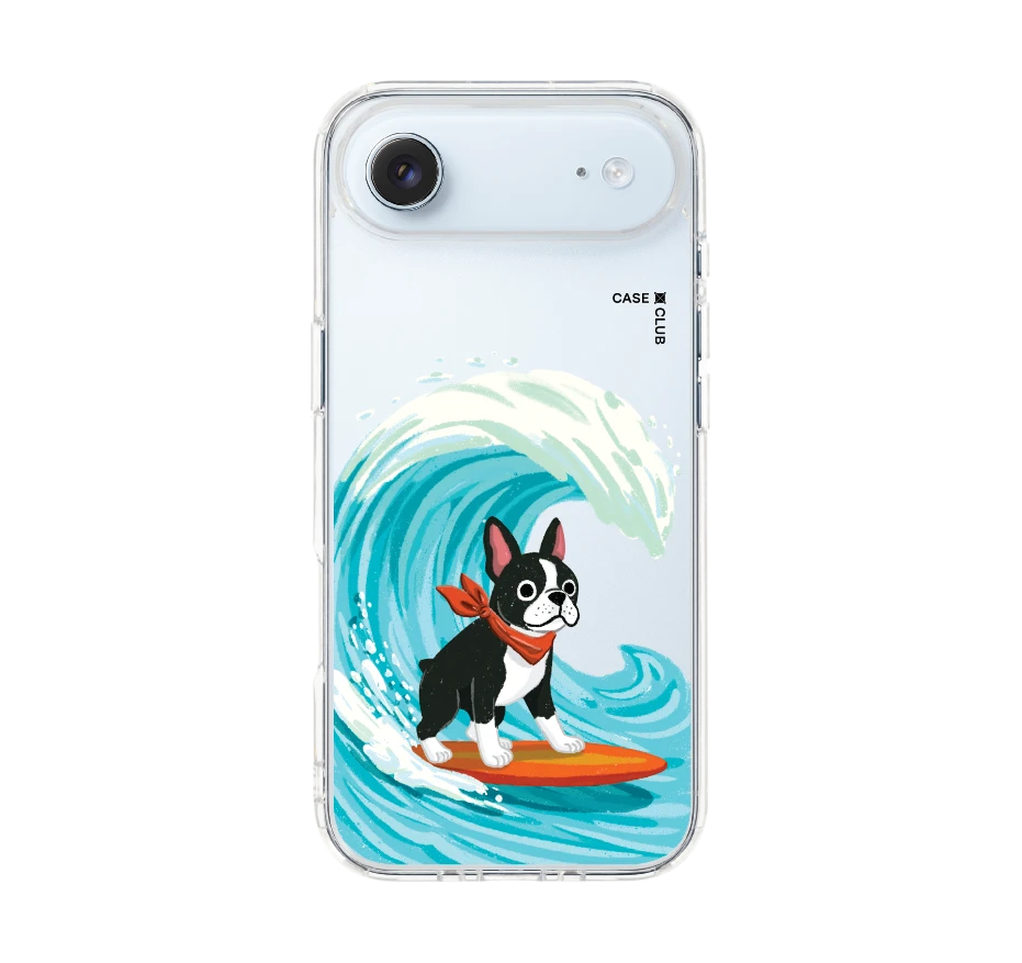boston terrier surf