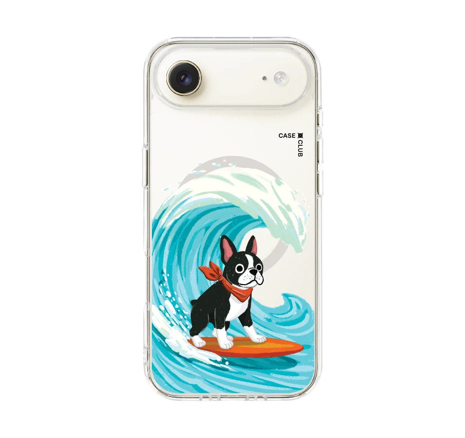 boston terrier surf