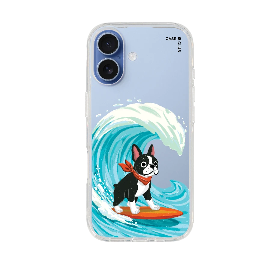 boston terrier surf