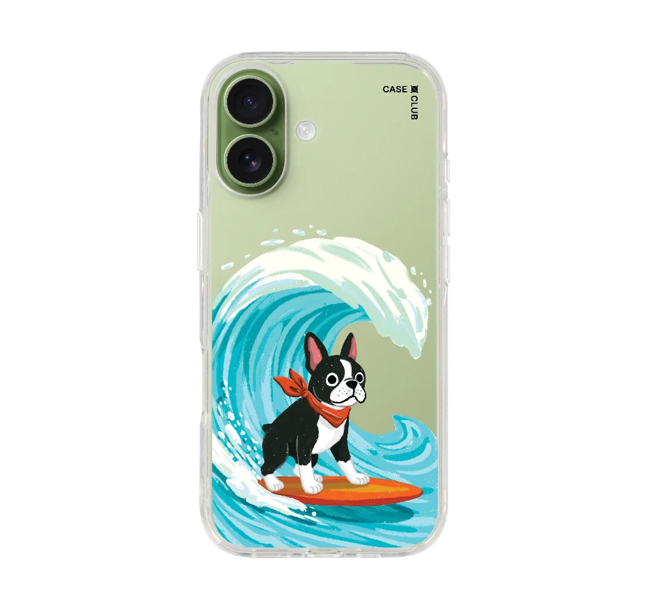 boston terrier surf