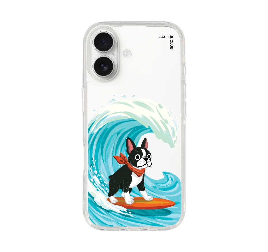 boston terrier surf
