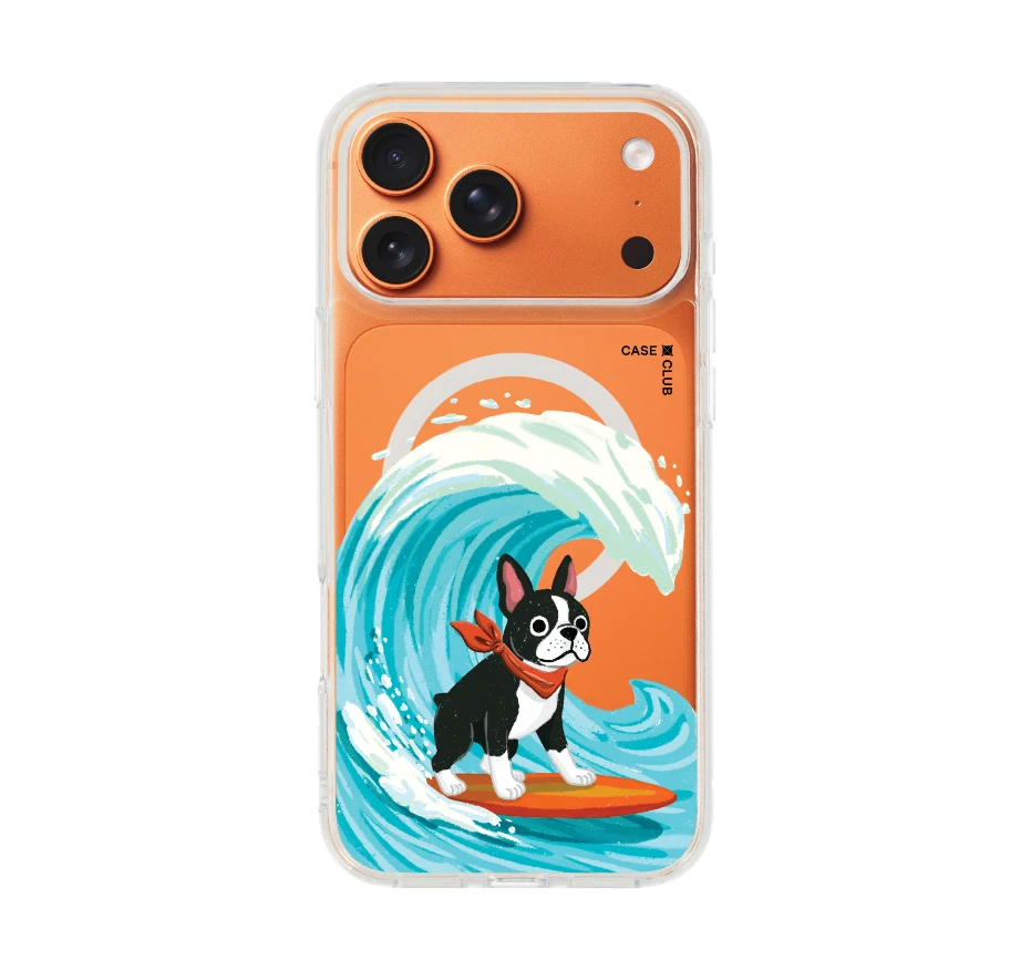 บอสตันเทอร์เรียร์โต้คลื่น