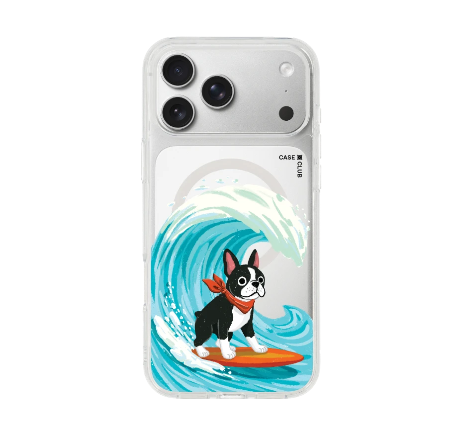 บอสตันเทอร์เรียร์โต้คลื่น